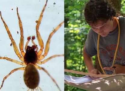 Hartwick College student at Pine Lake conducting research and spider